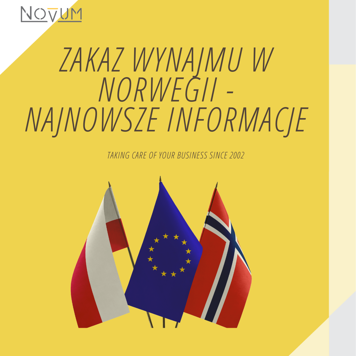 Przepisy Dotycz ce Wynajmu Pracownik w W Norwegii Aktualno ci 2024 Novum this-is-19-spotify-playlist
